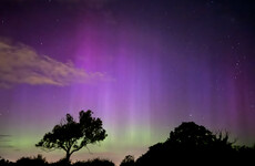 Poll: Did you spot the Northern Lights this week?