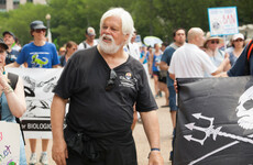 Climate activist Paul Watson facing extradition to Japan over anti-whaling activities
