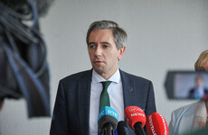 Taoiseach: 'We're not immune to the threat of terrorism - domestic or international'