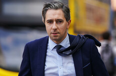 Woman (60s) is latest in string of arrests over alleged harassment of Taoiseach Simon Harris