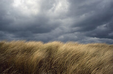 'Unseasonably strong' winds for two counties as remnants of Ernesto come Ireland's way