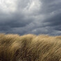 'Unseasonably strong' winds for two counties as remnants of Ernesto come Ireland's way