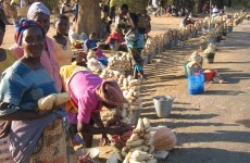 Women pushed further into poverty as food prices continue to rise - Oxfam
