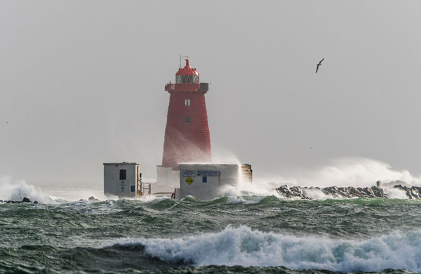 Hugo, Izzy and Naoise: Met Éireann releases this winter