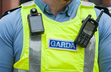 Man arrested over criminal damage, a road collision and a firearm seizure in Cork last Friday