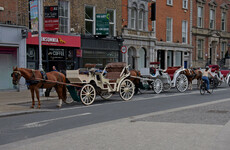 Dublin councillors agree on motion to deal with legal gaps around horse drawn carriages