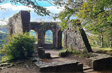Calls for State to buy land for sale in Wicklow to double size of nature reserve