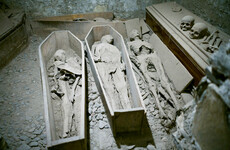 Arson charge brought against man accused of attack that destroyed ancient mummies