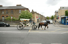 Opinion: Is it time to put an end to carriage horses in Dublin?