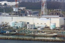 Fukushima fish radiation may indicate leak: study