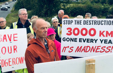 'It's making land unaffordable': Locals protest against John Magnier's plans for Tipperary farm