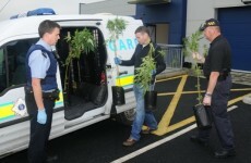 Man due in court over cannabis grow houses