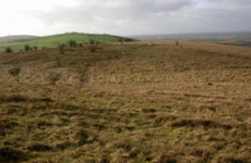 State to purchase 67 hectares of land for new nature reserve in Co Kilkenny