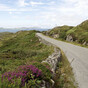 Man in his 30s dead after car crash on Beara Peninsula in Co Cork