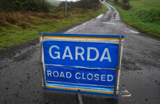Woman airlifted to hospital after car and bus carrying children collide in Co Limerick