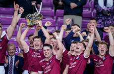 St Martin's overcome St Anne's in Wexford SHC final