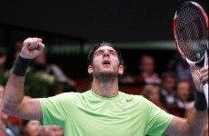 Del Potro holds nerve in tense tie-break to beat Federer and win Swiss Indoors