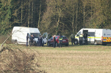 Gardaí begin search in Wicklow after man (50s) arrested on suspicion of Jo Jo Dullard murder