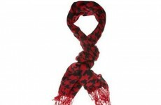 Gardaí release picture of missing Blathnaid's headscarf