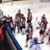 VIDEO: Police investigate fan v player punch-up after Cardiff hockey game
