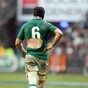 Six jerseys up for Guinness Series grabs after Ireland's injury crisis