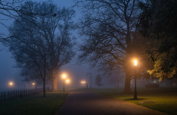 Fog warning in place for 17 counties with temperatures to drop to -3 ...