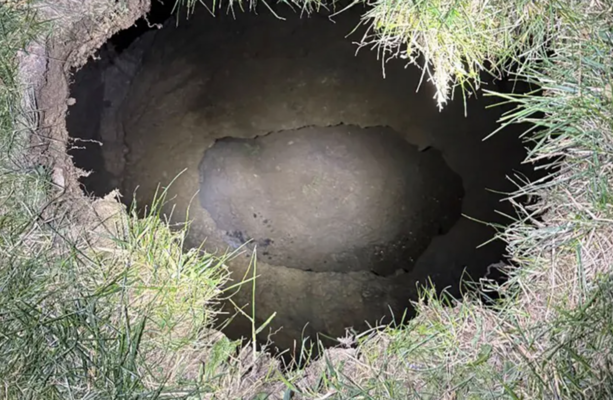 Search continues in US for woman who may have fallen into sinkhole while looking for her cat