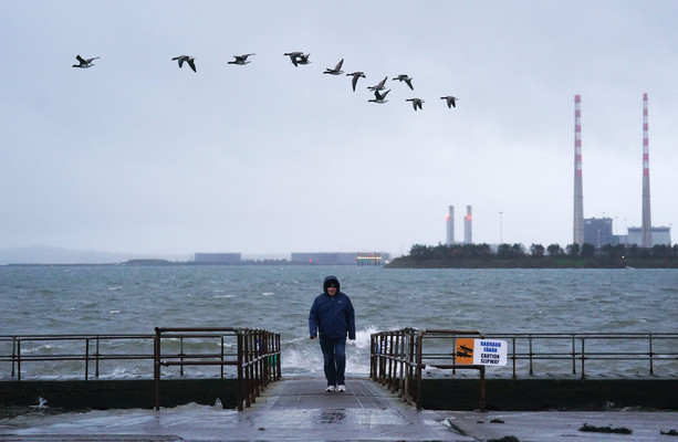 Storm Darragh Leaves Thousands Without Power, Repairs Could Take Days