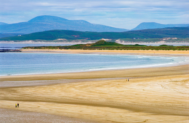 Dead Sheep Found on Donegal Beach: Investigation Underway