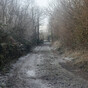 Ice and low temperature warning for 19 counties to take hold tonight