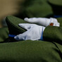 Data rules and lack of legal basis for suspensions are key issues in military discipline report