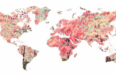 The world in 2025: Six actions global leaders can take to build a fairer and better planet