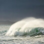 Status Yellow wind warnings issued across the west coast over the weekend