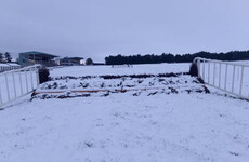 Weather forces postponement of Dr Harty Cup quarter-finals and racing at Clonmel