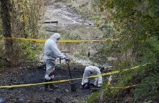 Police in Wales find more human remains in search for Catherine Gowing