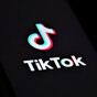 Trump says he will 'most likely' delay US TikTok ban for 90 days