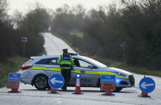 Lucky escape for driver after tree falls on moving car during storm in Kildare