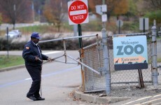 Toddler dies after falling into wild dogs pen at Pittsburgh Zoo