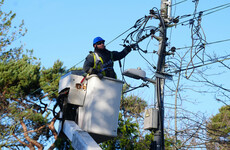 Storm recovery: 3,500 premises still without power as public urged not to clear remaining damage