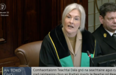 Watch: Tetchy Dáil scenes as SF call for Tánaiste to make statement on Senator Martin Conway