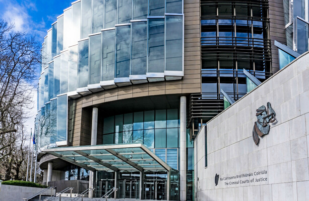 Man Jailed for 15 Months After Stealing Handbag with €2 from Elderly Woman