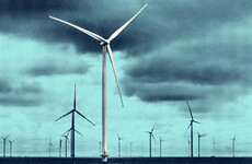 Government to choose future offshore wind farm locations to 'protect biodiversity'