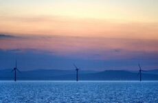 Calls for government to play a greater role in offshore wind farm development