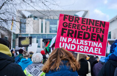 Academics warn of 'slide into repression' at Palestine events in Germany