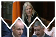 'Tetchy' Taoiseach 'acting like a child' as Dáil erupts over Michael Lowry and 'Bik' McFarlane