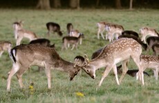 Top readers' comments of the week