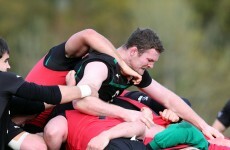 Guinness Series: Ryan hoping to knock the stuffing from the Springboks