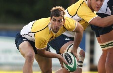Ireland wary of the long-distance threat posed by South Africa's Pienaar