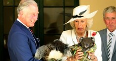 Charles and Camilla must be great craic… here’s the evidence in pictures