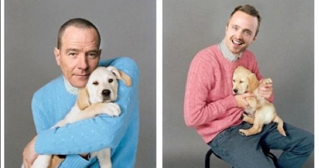 Brand new Breaking Bad promo poster... with puppies